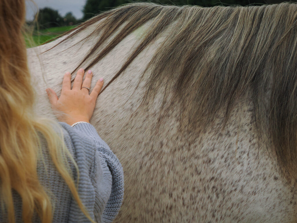 Equitherapie