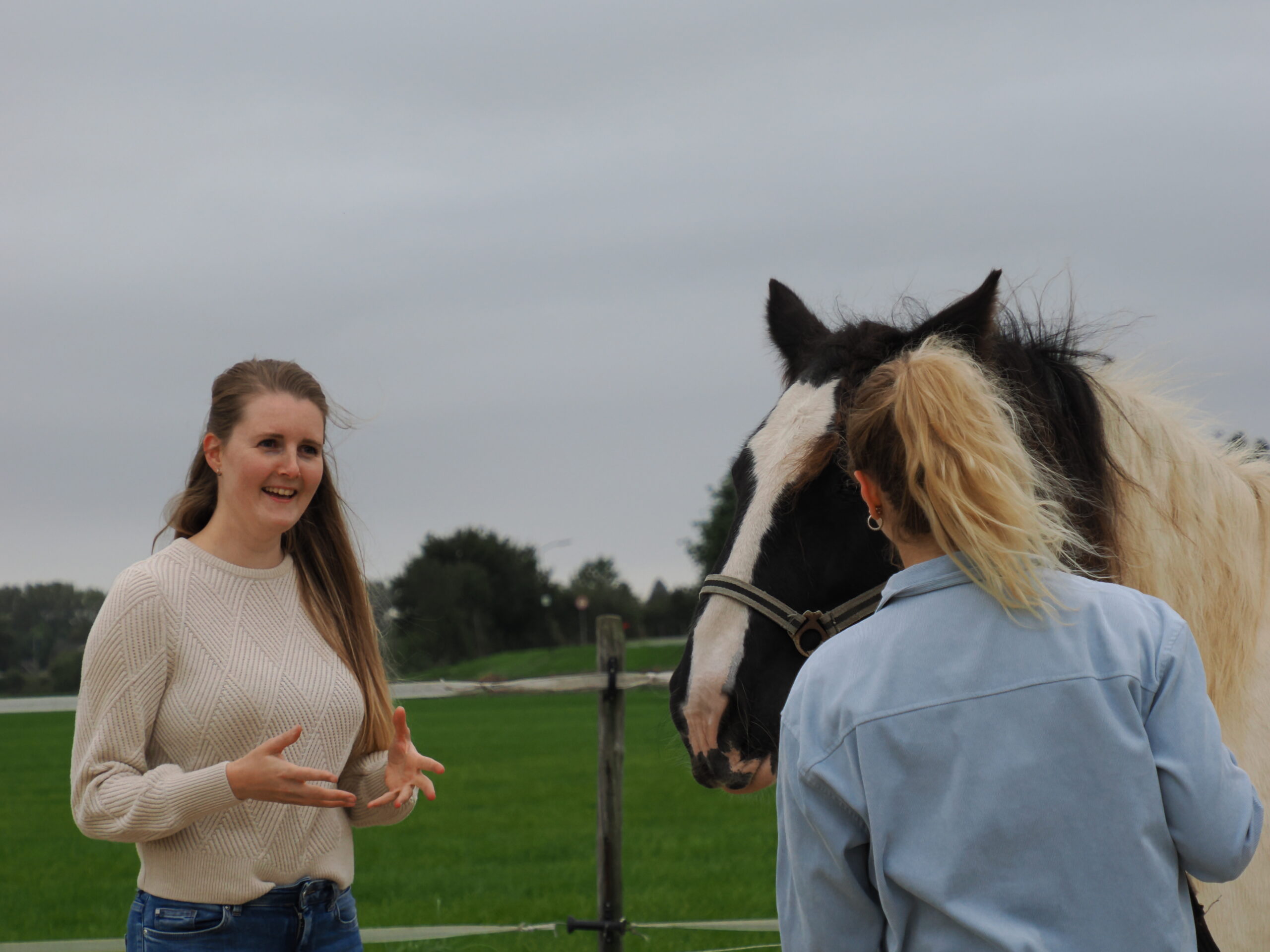 Paardencoaching Maryse Hettinga