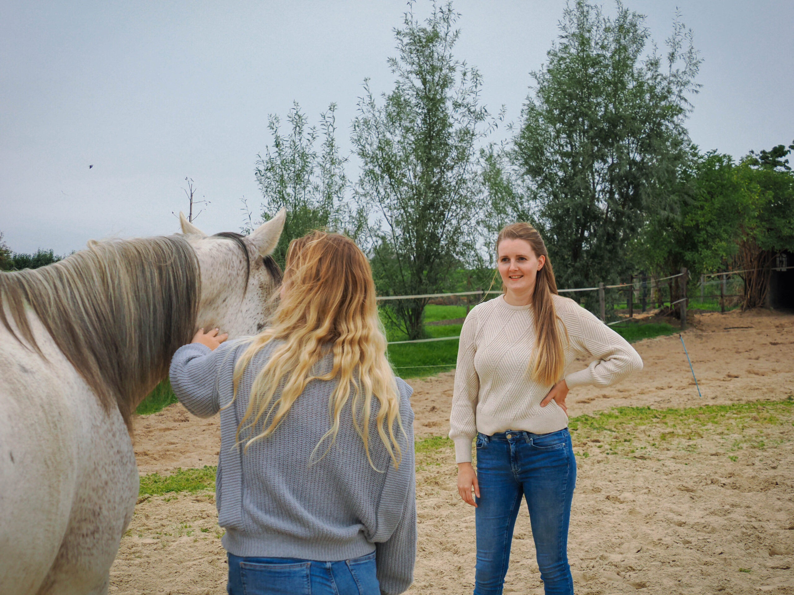Paardencoaching Mijdrecht