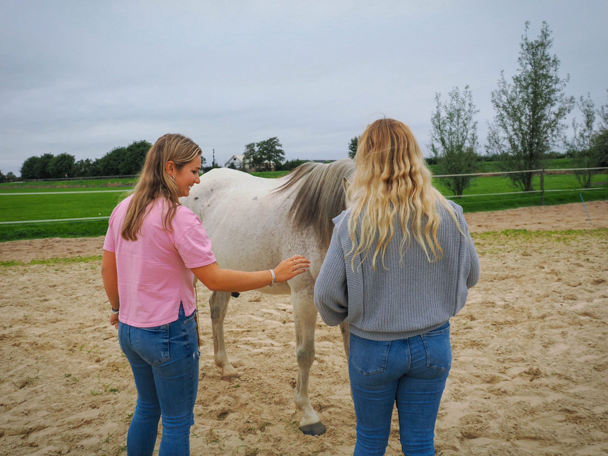Paardencoaching Waverveen