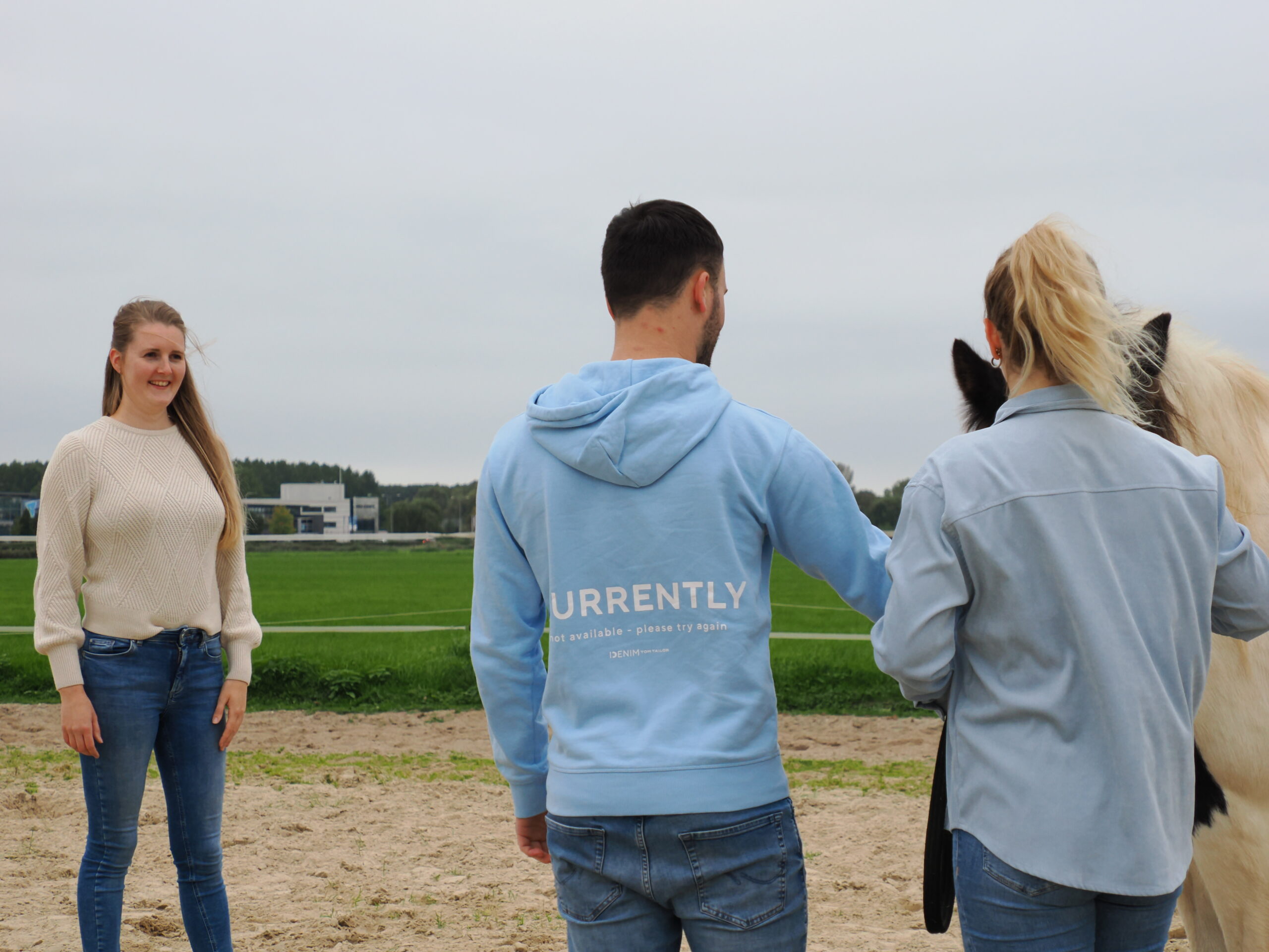 Relatiecoaching met paarden